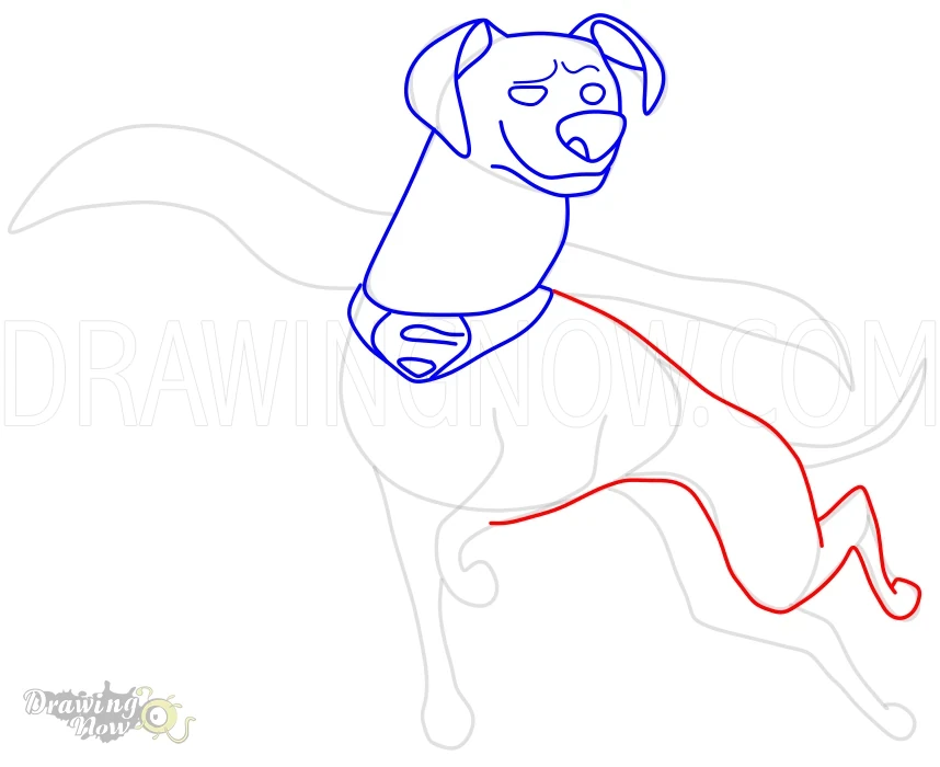 How to Draw Krypto from DC League of Super Pets Step 10