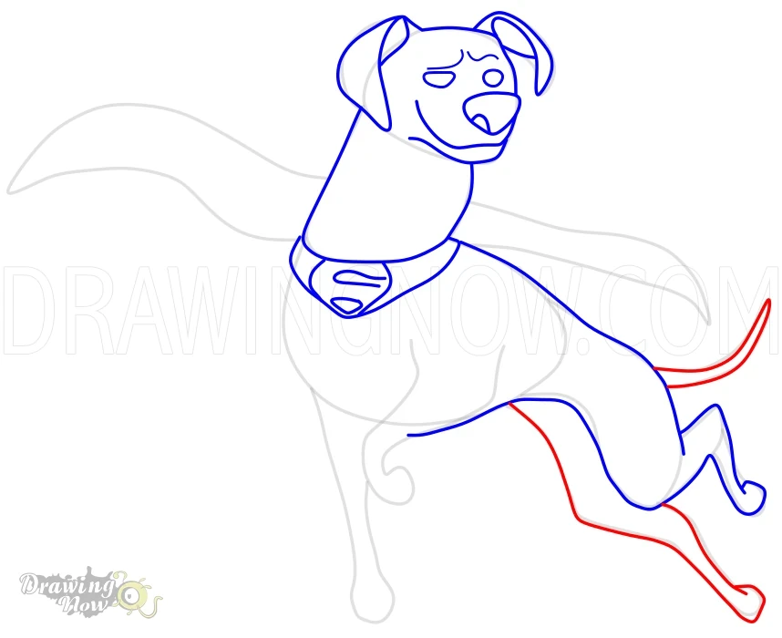 How to Draw Krypto from DC League of Super Pets Step 11