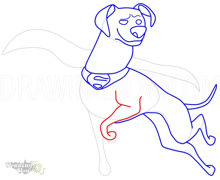 How to Draw Krypto from DC League of Super Pets Step 12