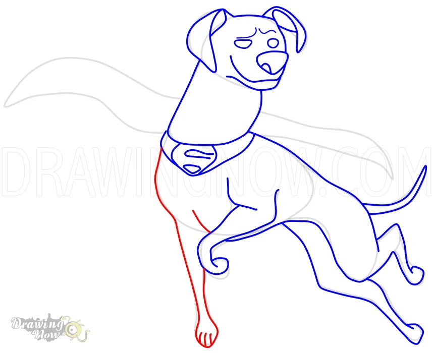 How to Draw Krypto from DC League of Super Pets Step 13