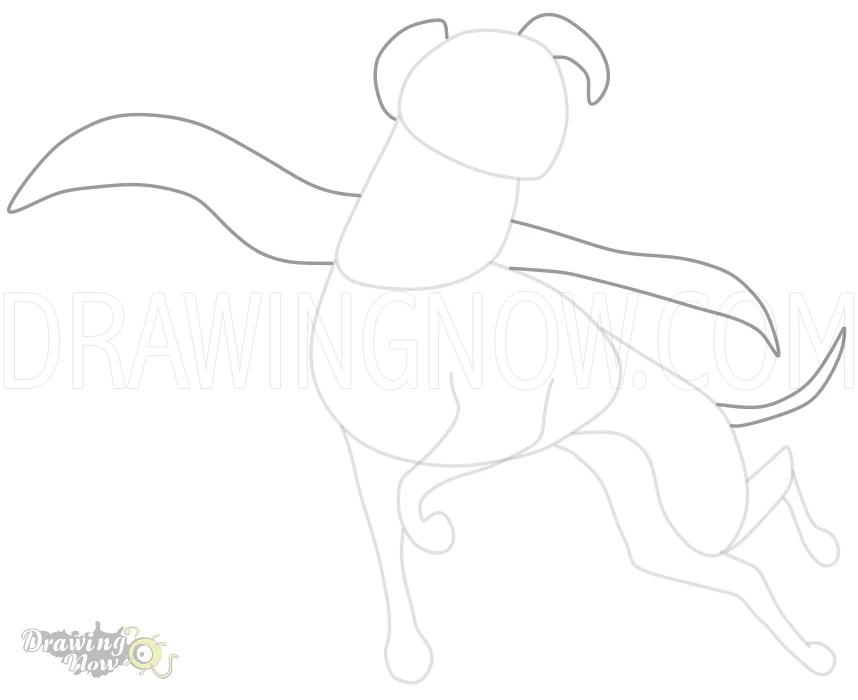 How to Draw Krypto from DC League of Super Pets Step 5