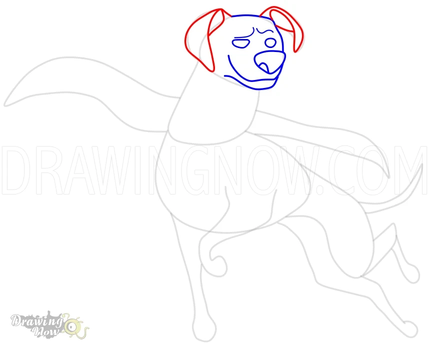 How to Draw Krypto from DC League of Super Pets Step 8