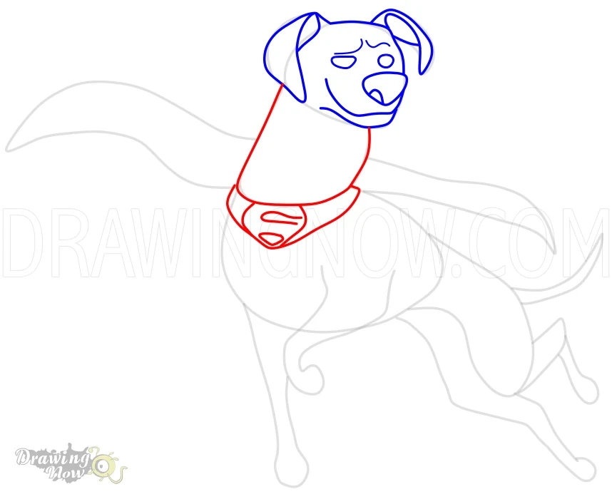 How to Draw Krypto from DC League of Super Pets Step 9