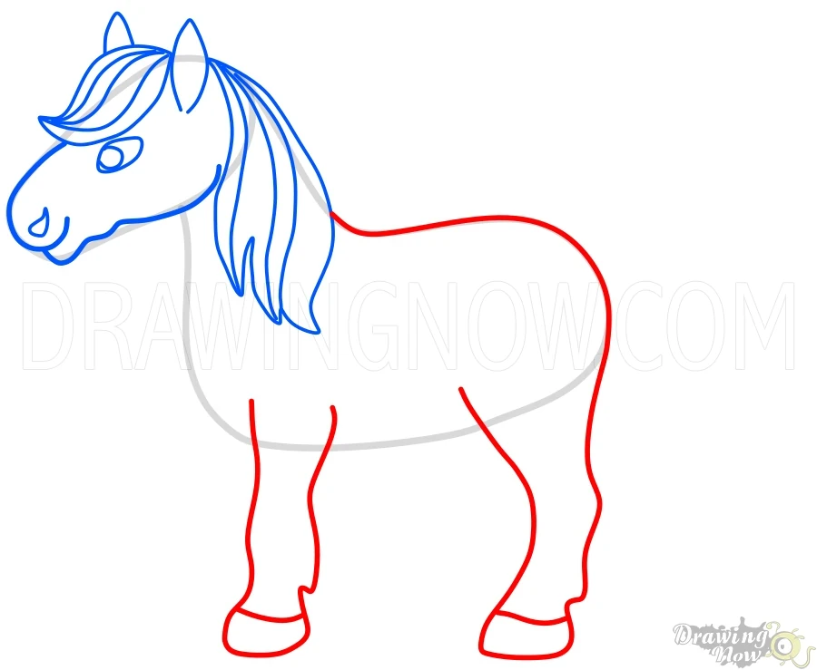 How to Draw a Horse Legs