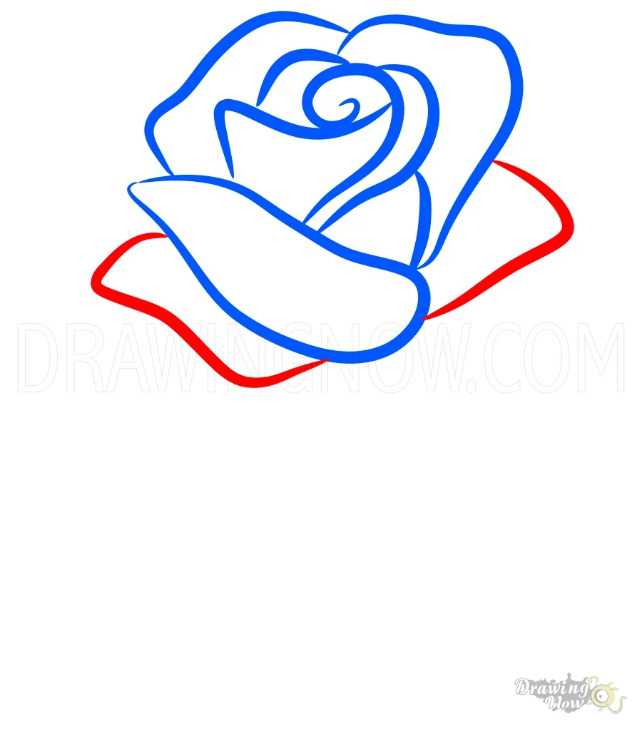 How to Draw a Rose Step 6