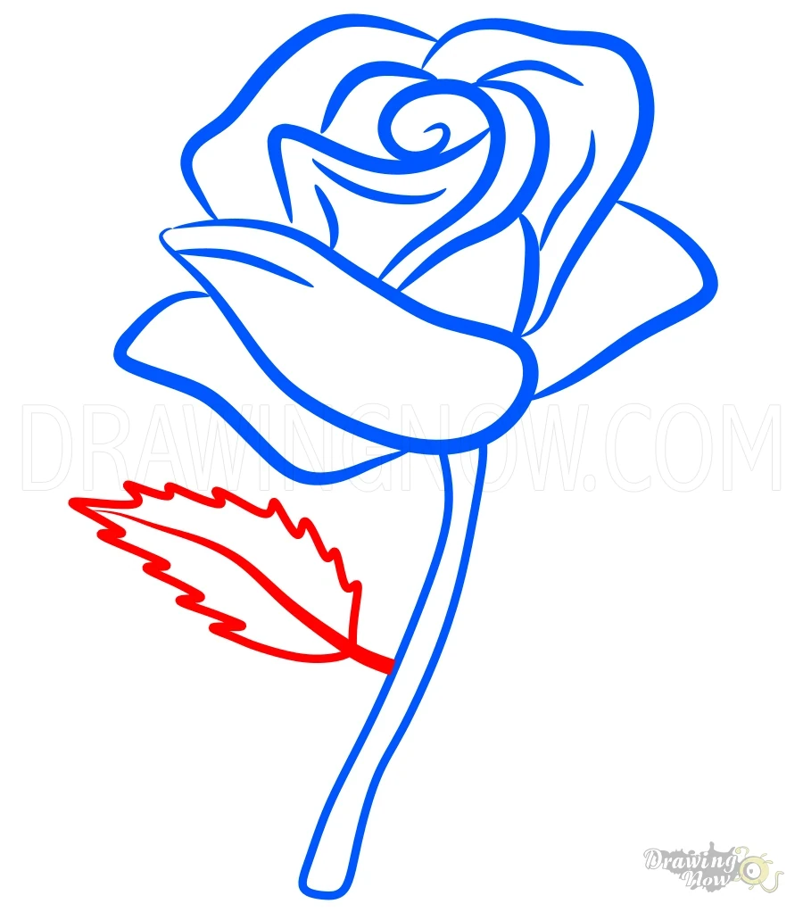 How to Draw a Rose Step 9