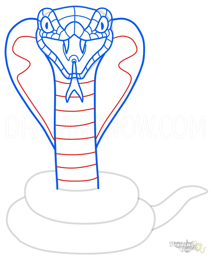 How to Draw a Snake Body Pattern