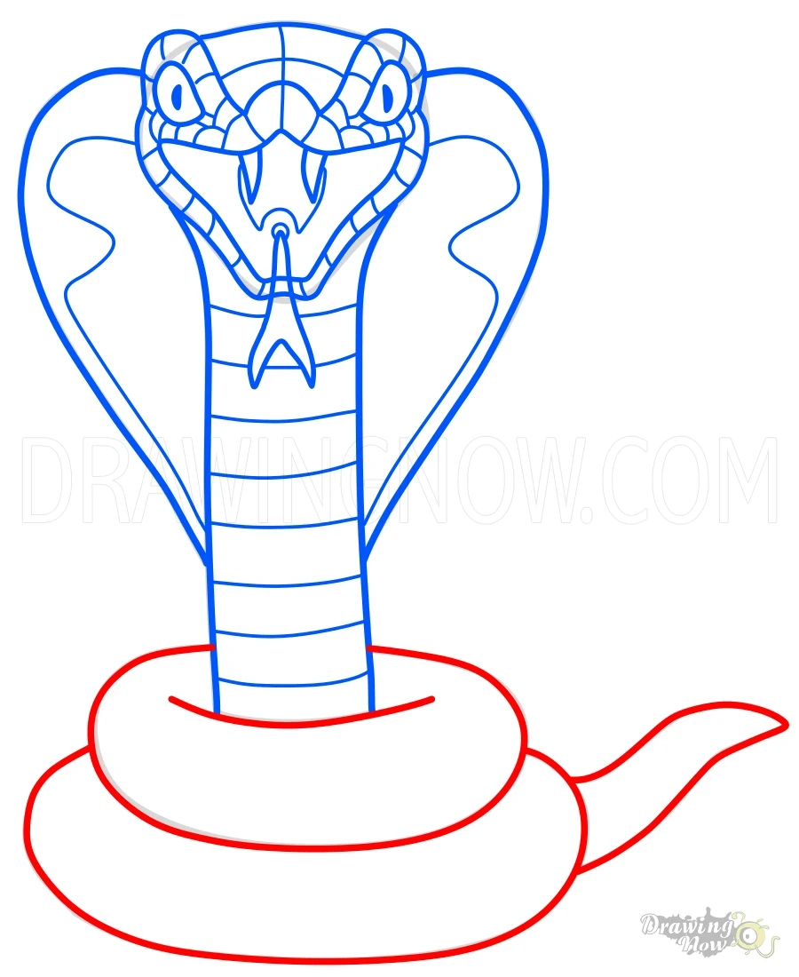How to Draw a Snake Tail Outlines