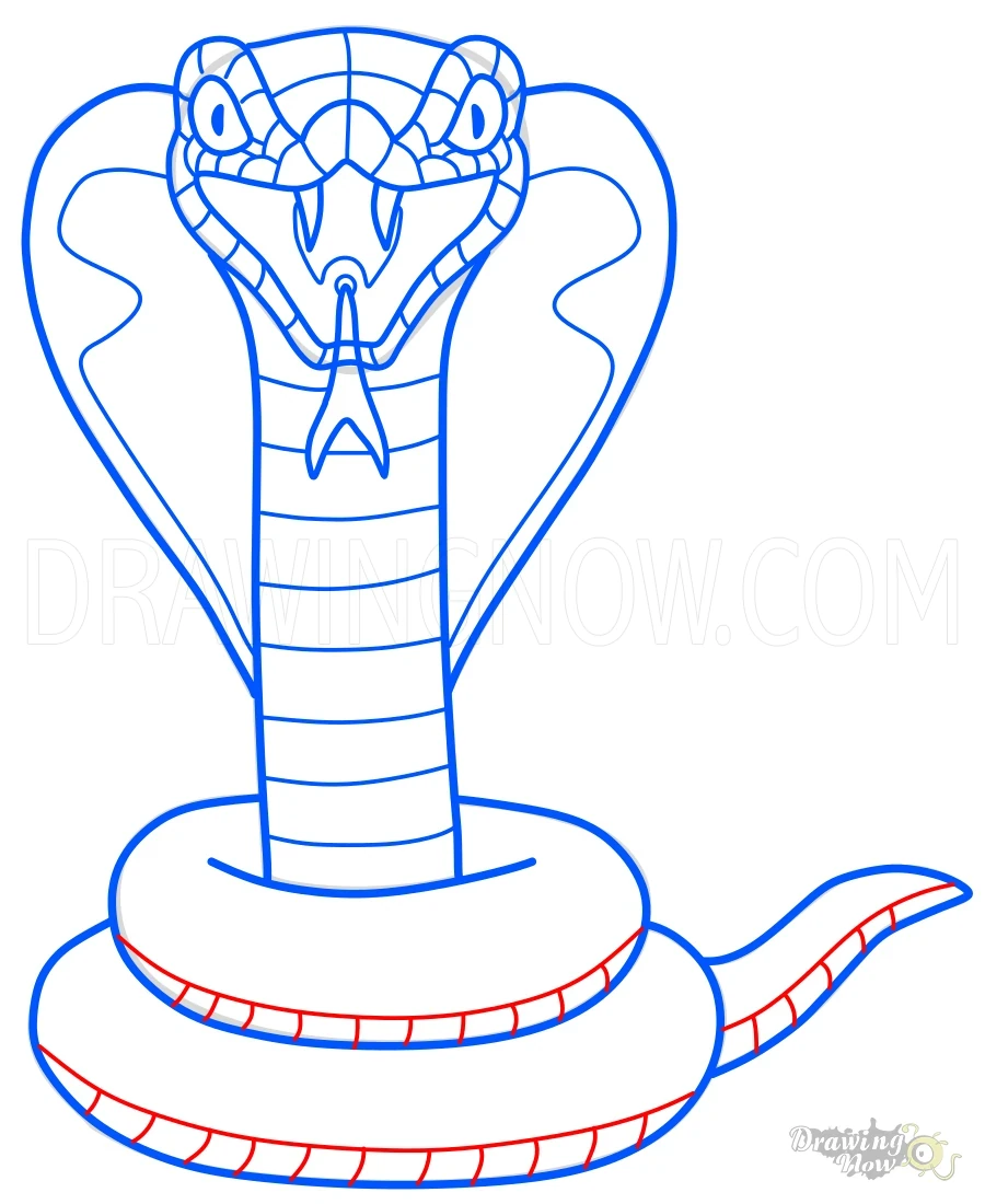 How to Draw a Snake Tail Pattern