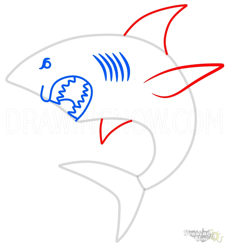 How to Draw a Shark Fins