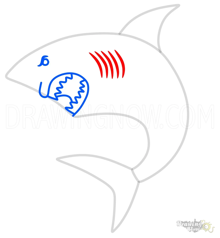 How to Draw a Shark Gills
