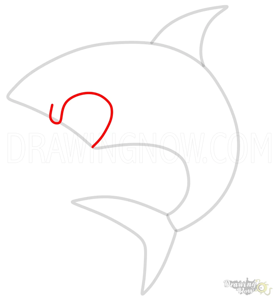 How to Draw a Shark Jaws