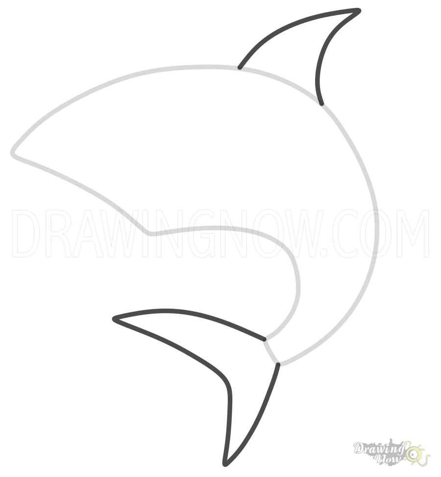 How to Draw a Shark Tail Sketch
