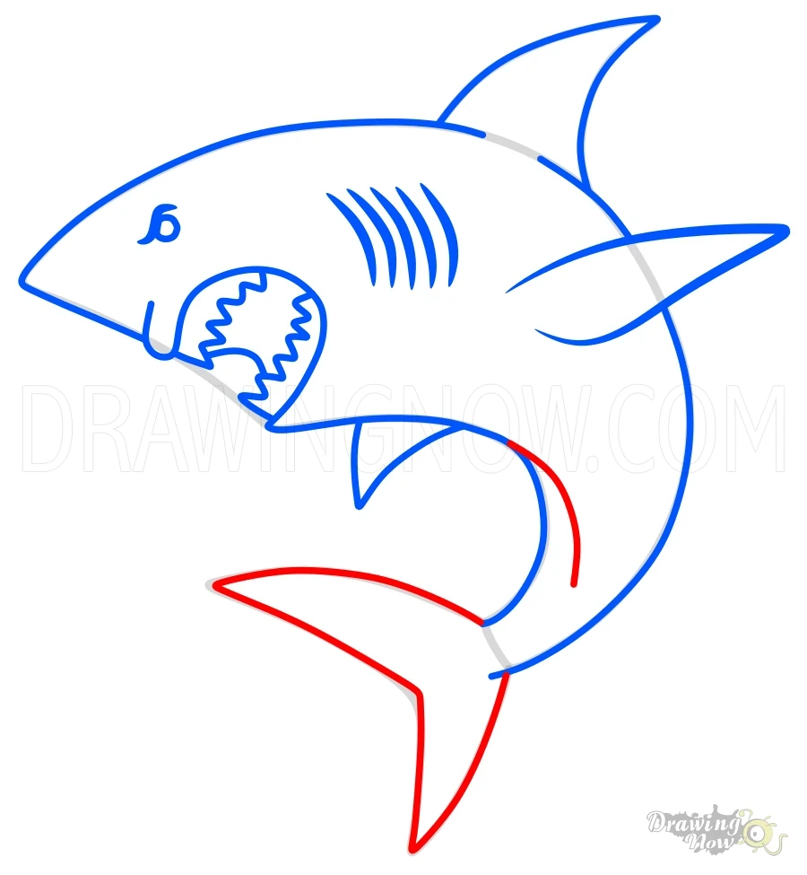 How to Draw a Shark Tail